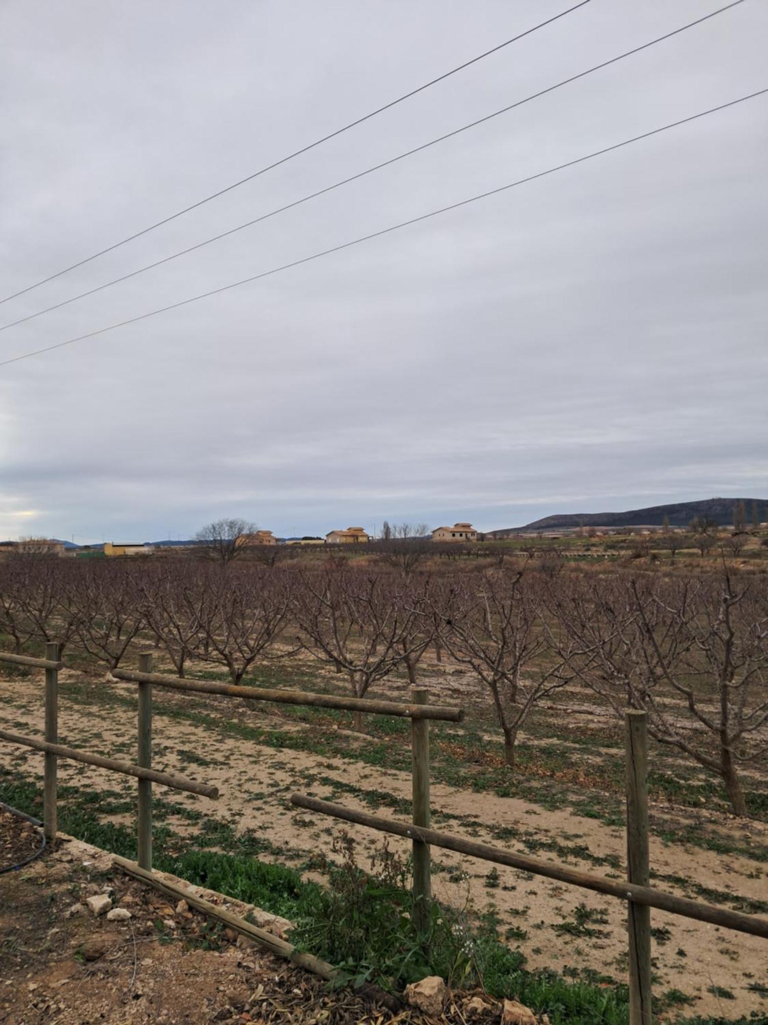 Country house Cortijo Ojos Del Prado *
