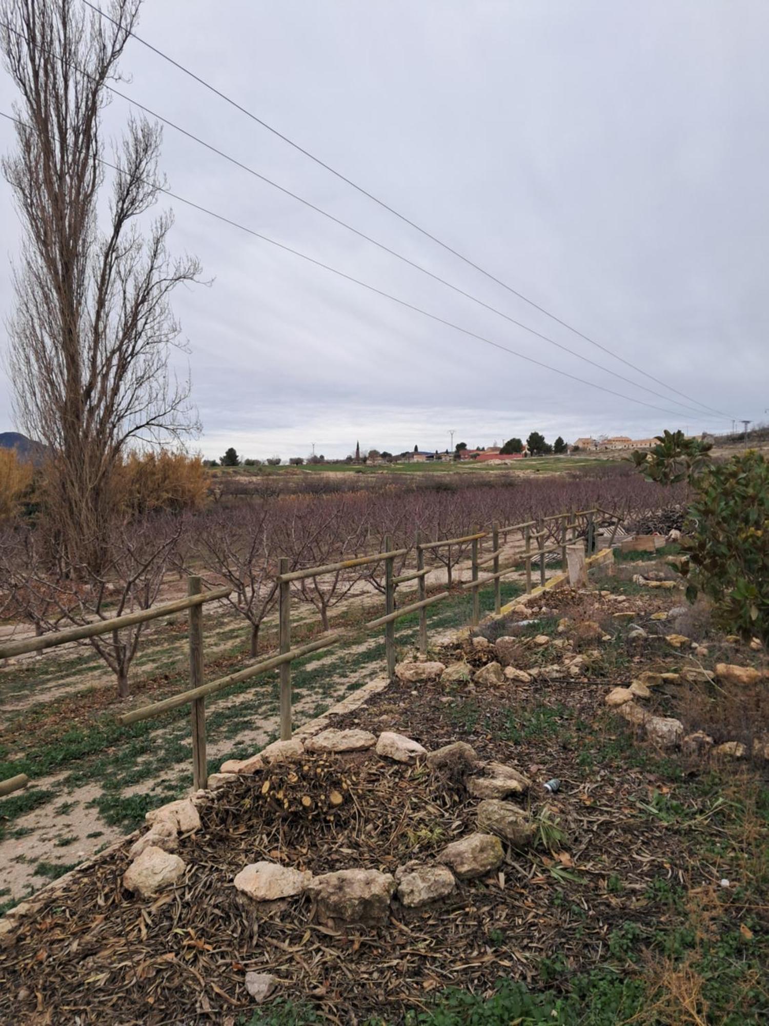 Cortijo Ojos Del Prado Country house